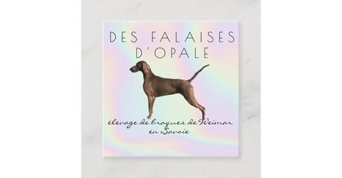 Des Falaises D'Opale - affiche